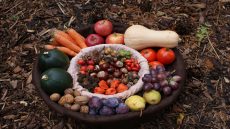 6 Simple Habits to Improve Digestive Health