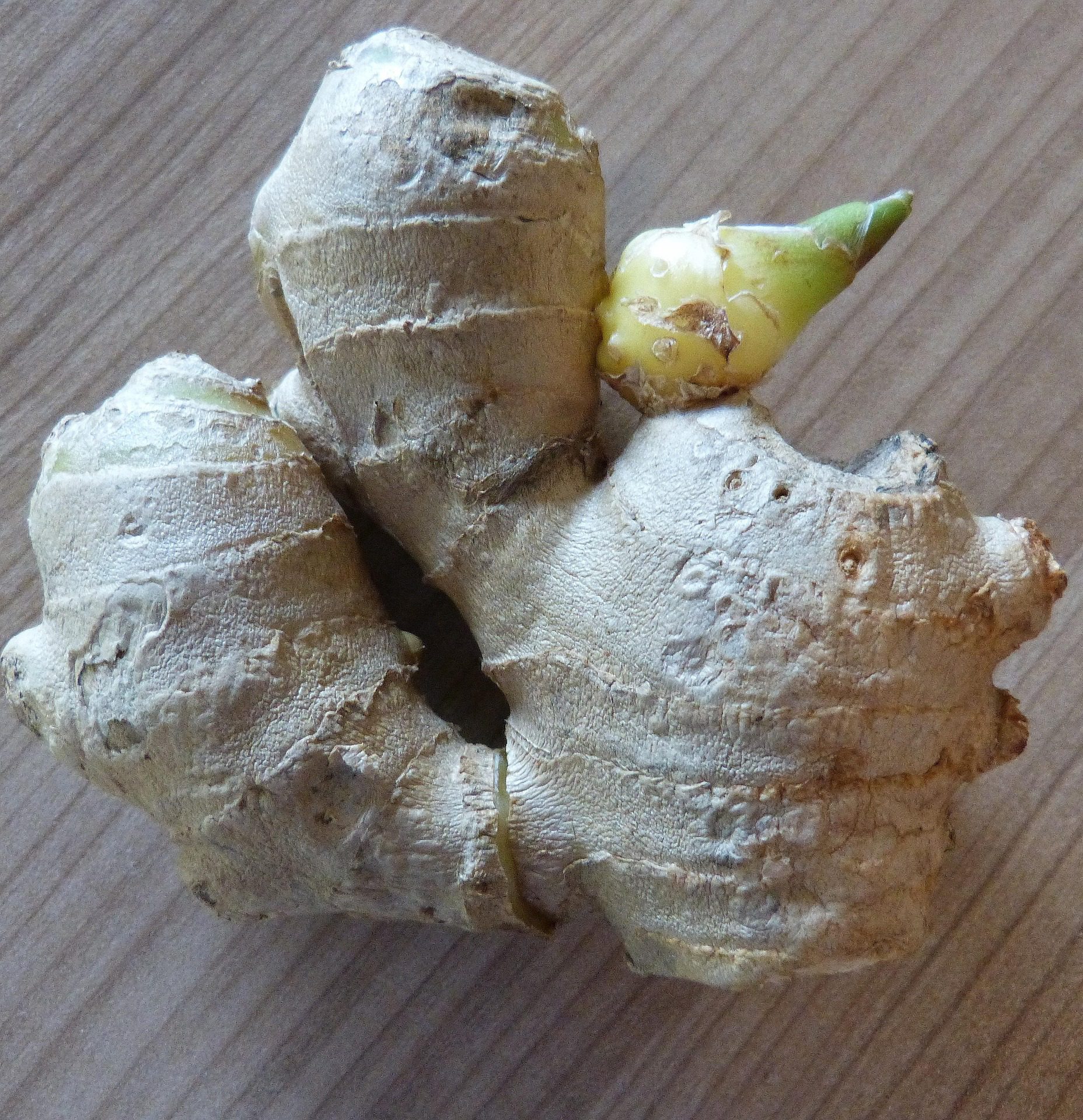 Fresh ginger root, known for immune-supporting gingerol